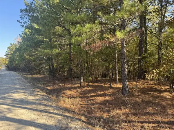 Clarksville, TX 75426,TBD CR 2451