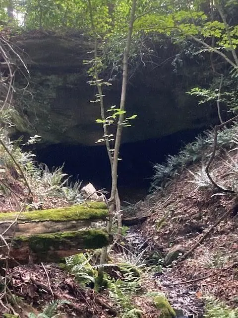 Racine, OH 45771,Bowmans Run/Bashan Rd