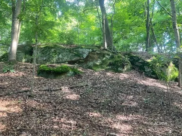 Racine, OH 45771,Bowmans Run/Bashan Rd