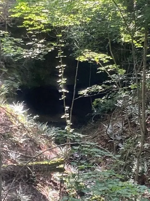 Racine, OH 45771,Bowmans Run/Bashan Rd