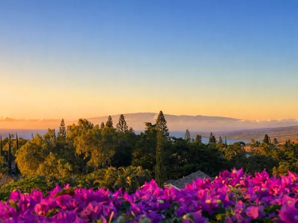 68-1748 LAIE ST, Waikoloa, HI 96738