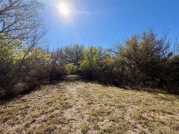 Joshua, TX 76058,TBD Joshua Ryan Drive