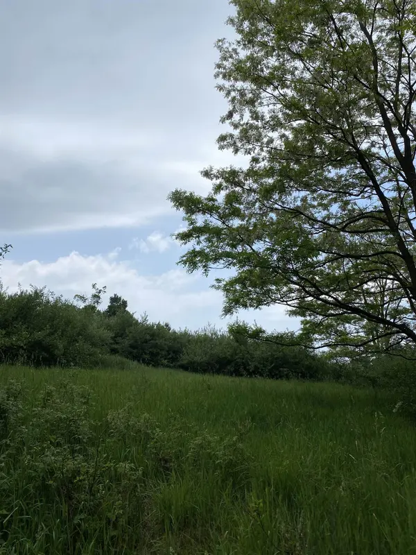 Alden, MI 49612,Parcel A Cemetery RD