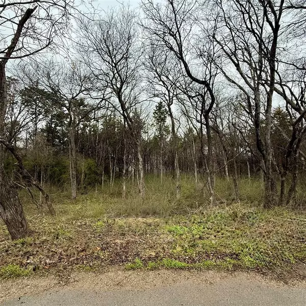 Dallas, TX 75241,3203 Persimmon Road