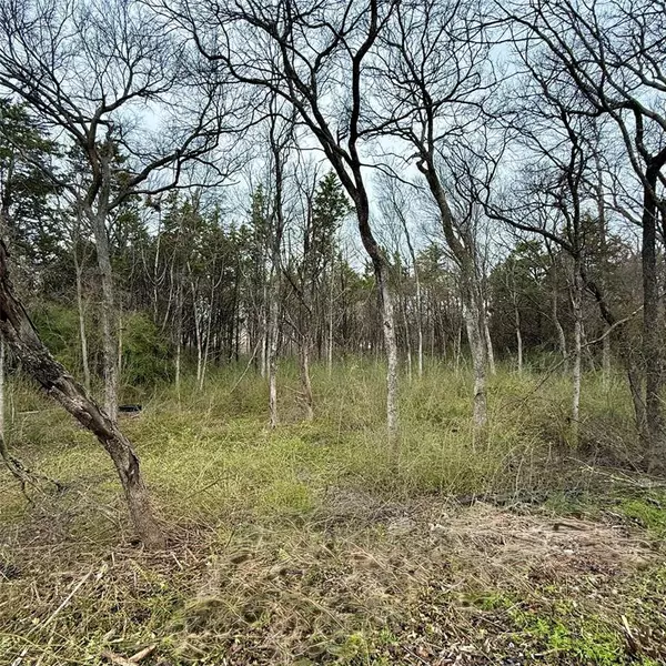 Dallas, TX 75241,3203 Persimmon Road