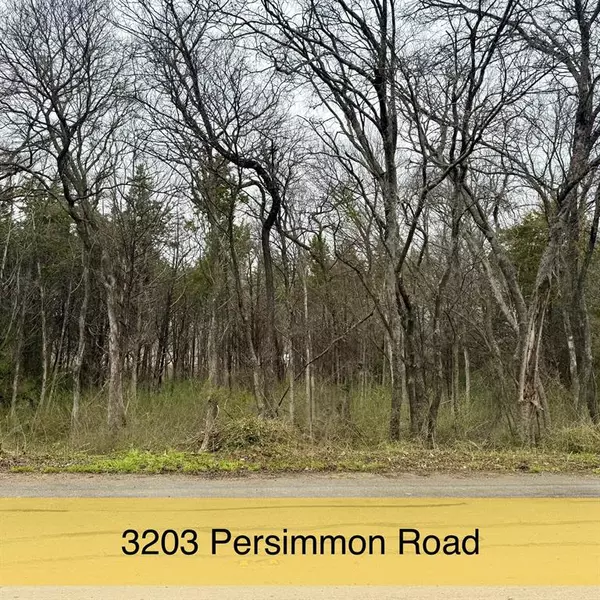 Dallas, TX 75241,3203 Persimmon Road
