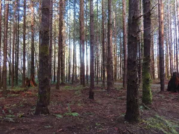 Cosmopolis, WA 98537,2431 N RIVER RD