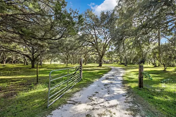 Brooksville, FL 34601,26250 Blackjack St