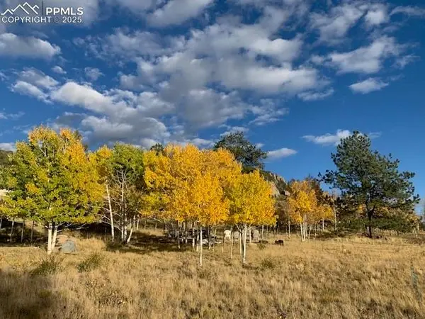 Lake George, CO 80827,71 Ruby CIR