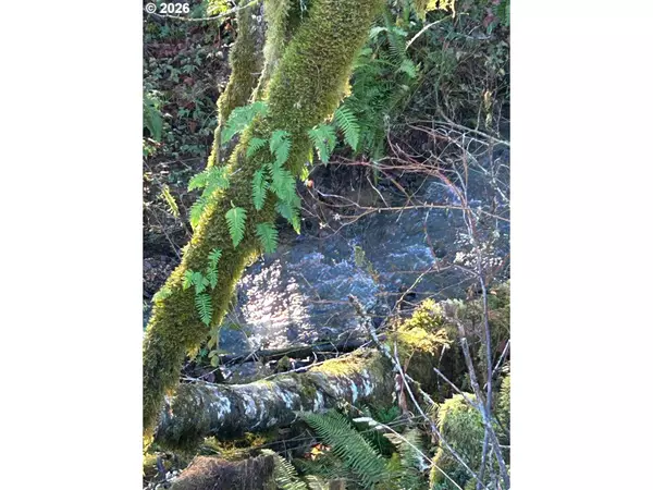 Sheridan, OR 97378,Rock Creek RD #1