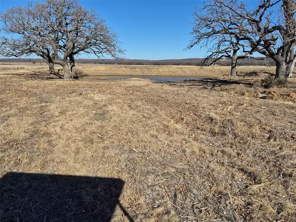 Loving, TX 76460,1168 Shepard Lane