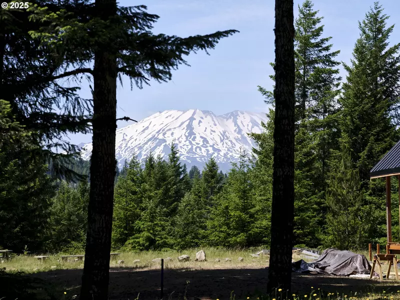 2 Phyllis Ann Block CT, Cougar, WA 98616