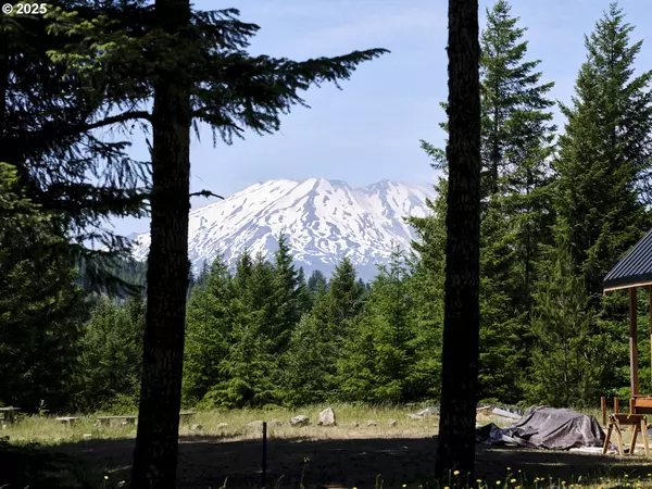 2 Phyllis Ann Block CT, Cougar, WA 98616