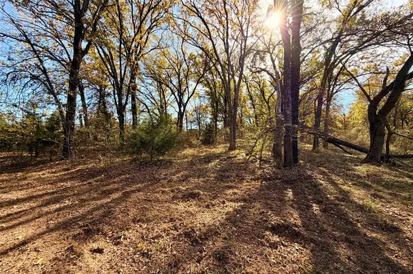 Kemp, TX 75143,18050 Terrace Drive