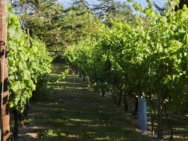 Battle Ground, WA 98604,11700 NE 279TH ST