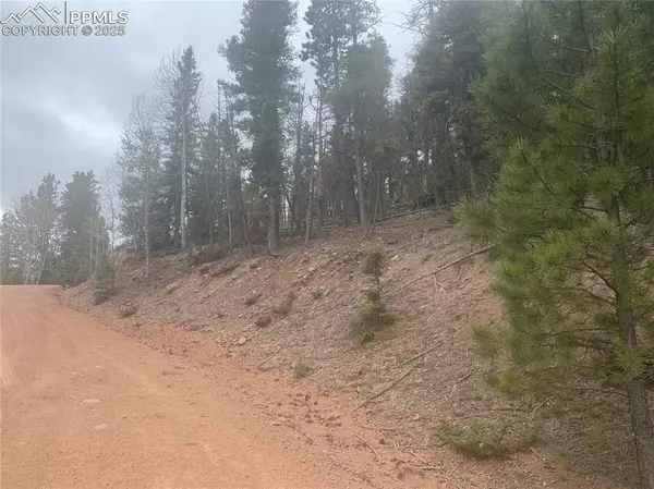 Cripple Creek, CO 80813,243 Andes RD