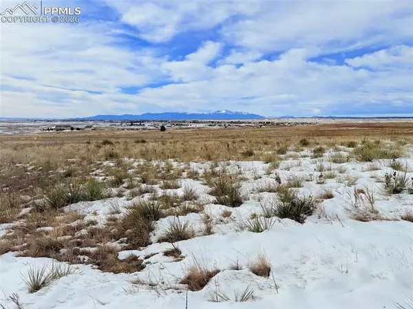 Peyton, CO 80831,18702 Longhorn Acres TRL