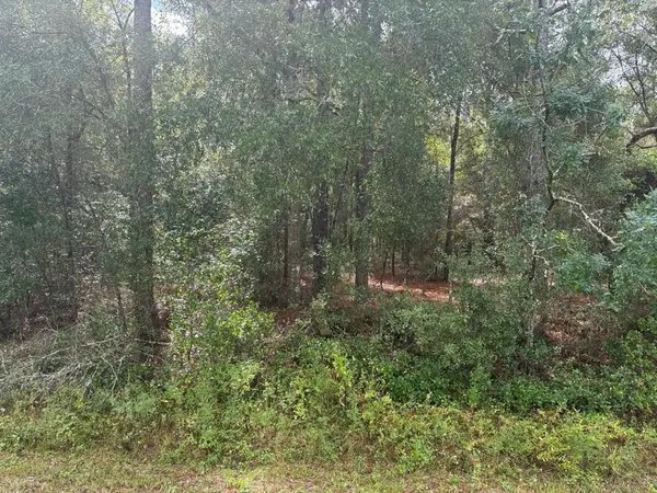 Dunnellon, FL 34431,0 SW 54th street