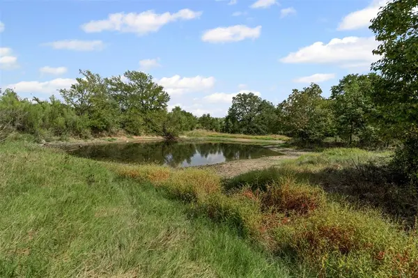 Desdemona, TX 76445,451 County Road 4975