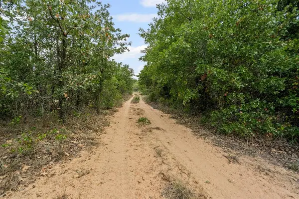 Desdemona, TX 76445,451 County Road 4975