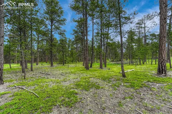 000 Wyandott DR, Colorado Springs, CO 80908