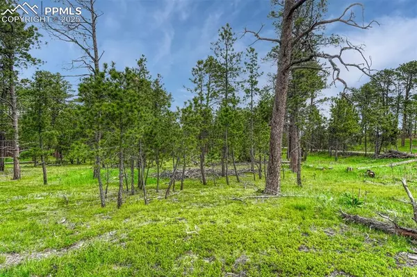 Colorado Springs, CO 80908,000 Wyandott DR