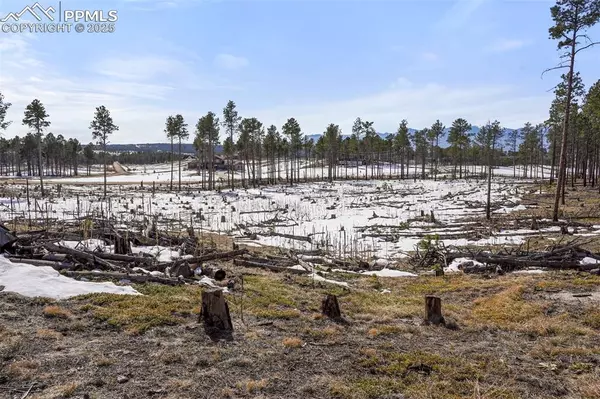 Colorado Springs, CO 80908,Snow mass DR