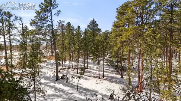 Colorado Springs, CO 80908,Snow mass DR