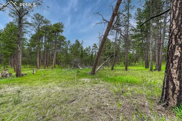 Colorado Springs, CO 80908,01 Wyandott DR