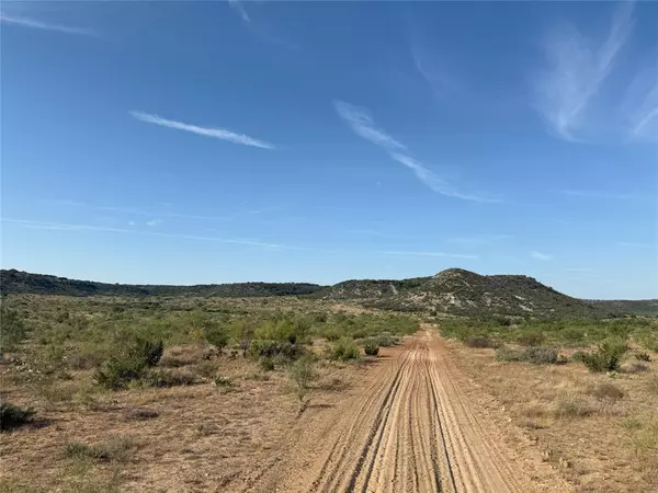 Robert Lee, TX 76945,TBD T5 Hwy 208