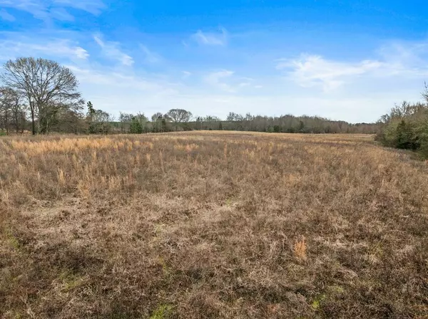 Pittsburg, TX 75686,TBD County Road 2212