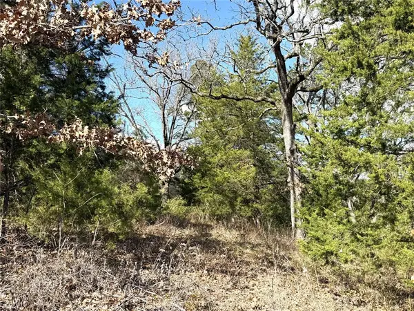 Lindale, TX 75771,15899 Crazyhorse Drive