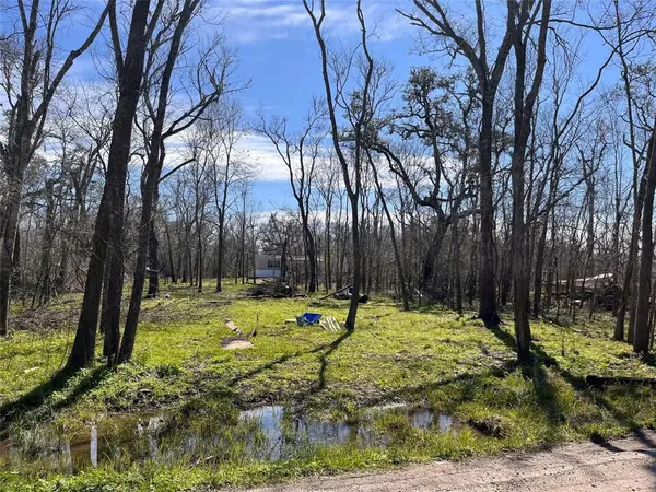 Holiday Lakes, TX 77515,TBD Penguin Lane