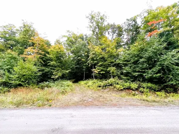 75 GRANITE DR, Huntsville, ON P0A 1R0