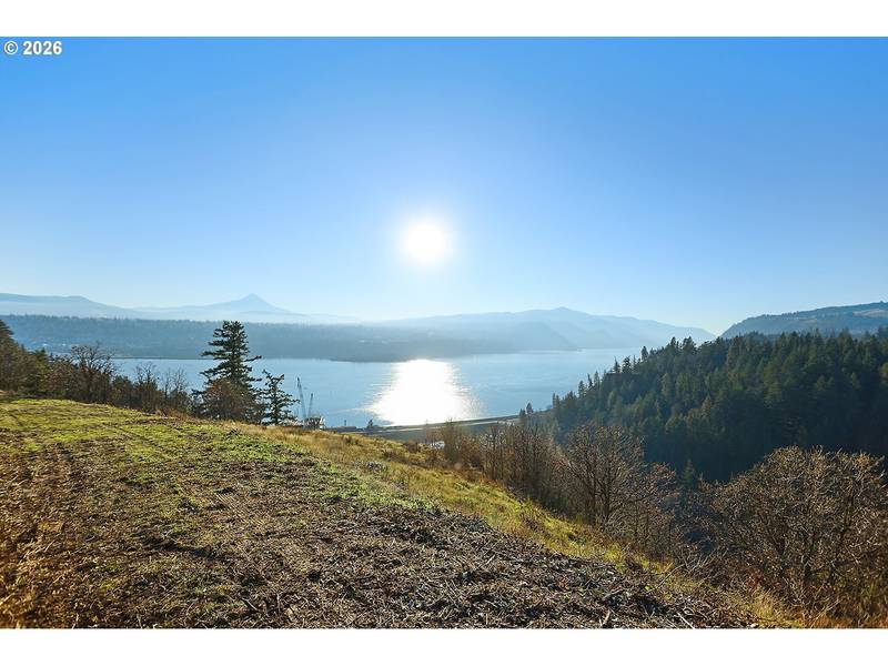 248 STERLING BLVD, White Salmon, WA 98672