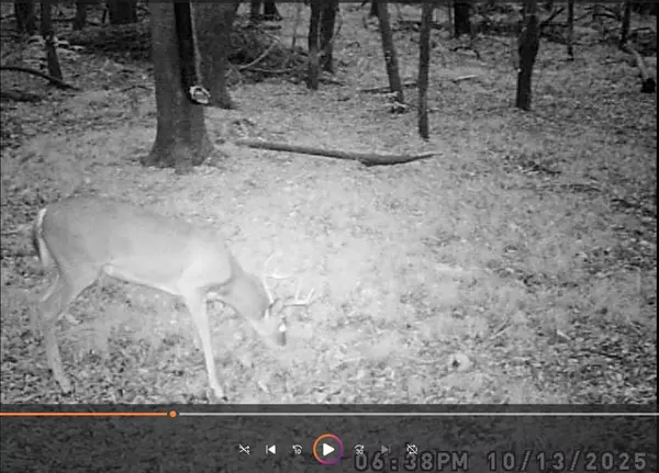 Bogata, TX 75417,TBD PR 5042