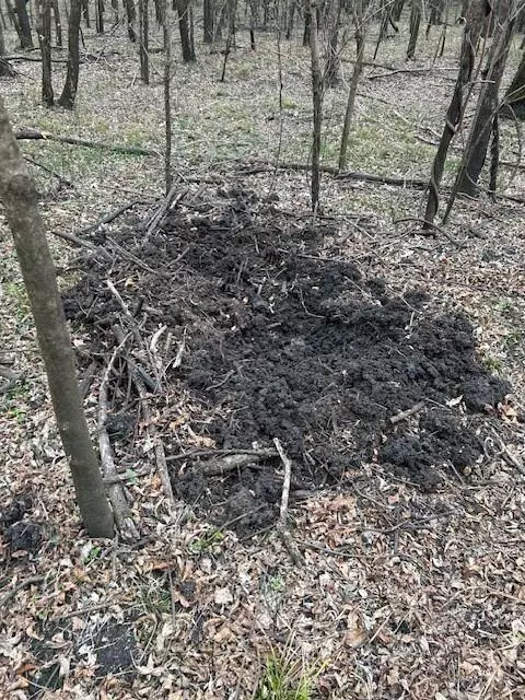 Bogata, TX 75417,TBD PR 5042