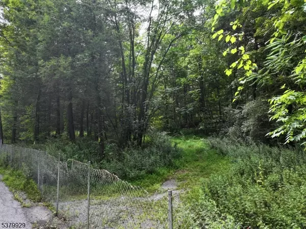 Frankford Twp., NJ 07826,20 Pines Rd