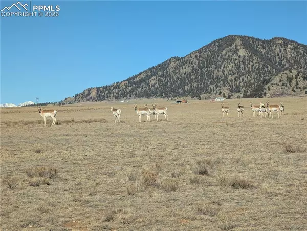 Lake George, CO 80827,246 Montezuma RD