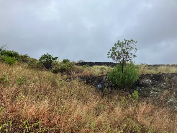 Captain Cook, HI 96704,MILOLII RD