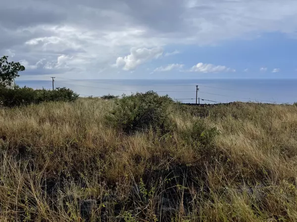 Captain Cook, HI 96704,MILOLII RD