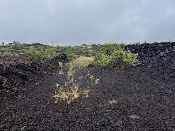 Captain Cook, HI 96704,MILOLII RD