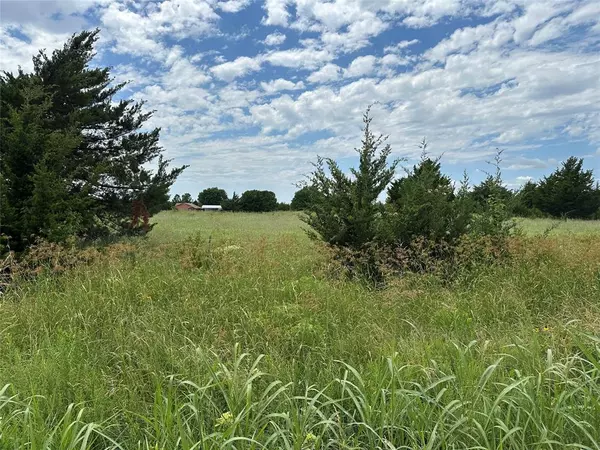 Farmersville, TX 75442,Lot 7 Lemonade Ln.