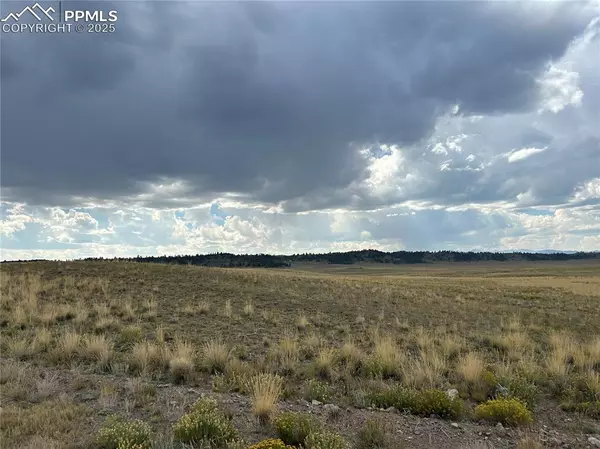 Hartsel, CO 80449,10055 County Road 53