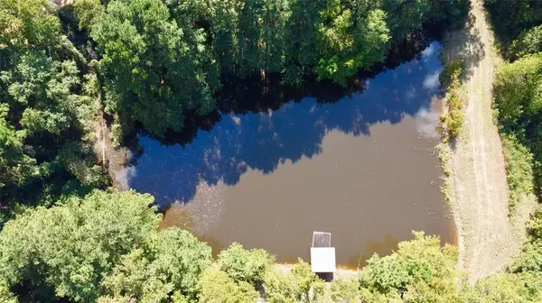 Naples, TX 75568,TBD CR 2737-1