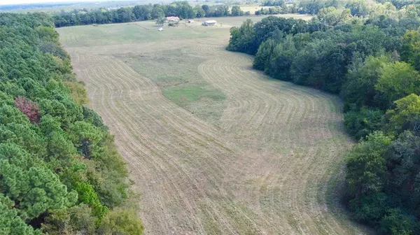 Naples, TX 75568,TBD CR 2737-1