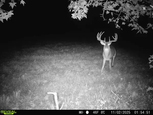 TBD CR 2738, Naples, TX 75568