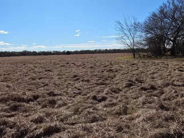 Scurry, TX 75158,16674 FM-148