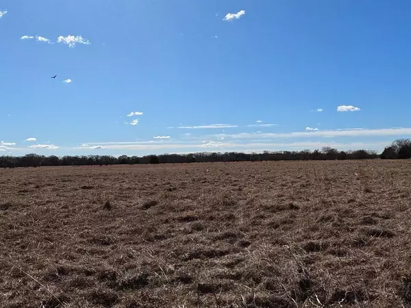 Scurry, TX 75158,16674 FM-148