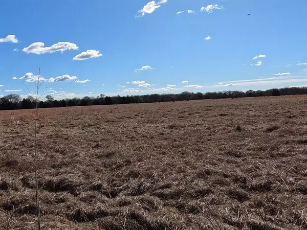 Scurry, TX 75158,16674 FM-148